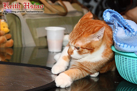 IMG_0261.jpg IMG_0261.jpg