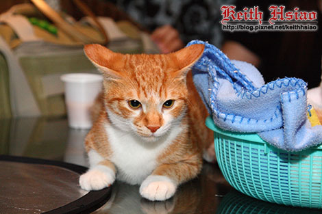 IMG_0263.jpg IMG_0263.jpg