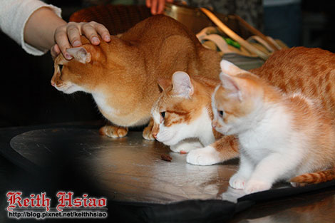 IMG_0273.jpg IMG_0273.jpg