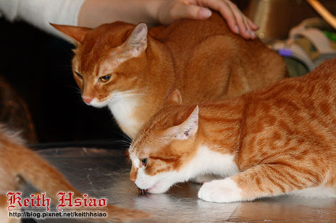 IMG_0275.jpg IMG_0275.jpg