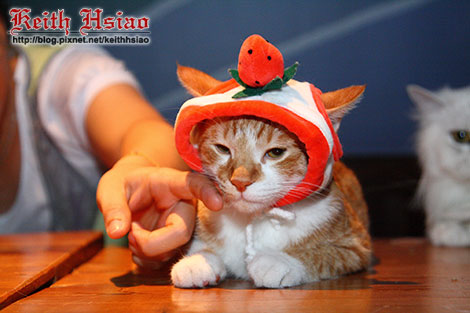 IMG_0338.jpg IMG_0338.jpg