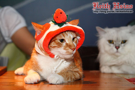 IMG_0339.jpg IMG_0339.jpg