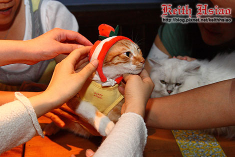 IMG_0342.jpg IMG_0342.jpg