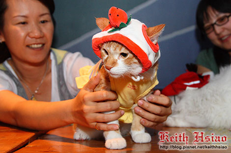 IMG_0343.jpg IMG_0343.jpg