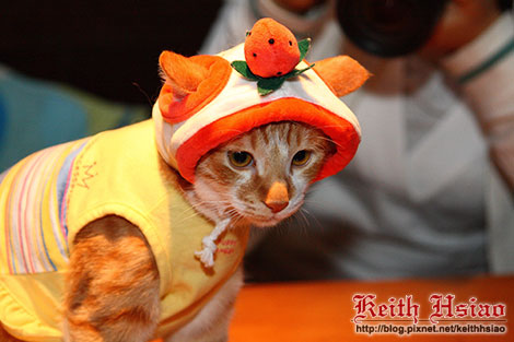 IMG_0357.jpg IMG_0357.jpg