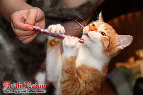 IMG_0418.jpg IMG_0418.jpg