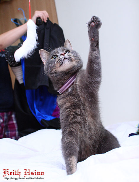 IMG_1706.jpg IMG_1706.jpg