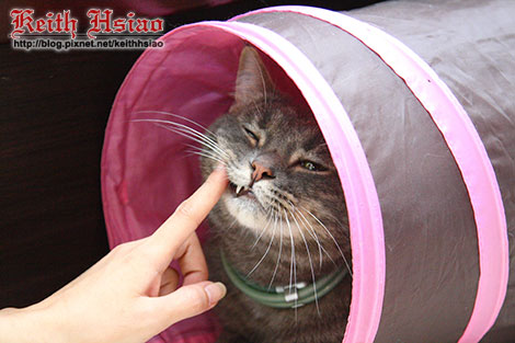 IMG_1550.jpg IMG_1550.jpg