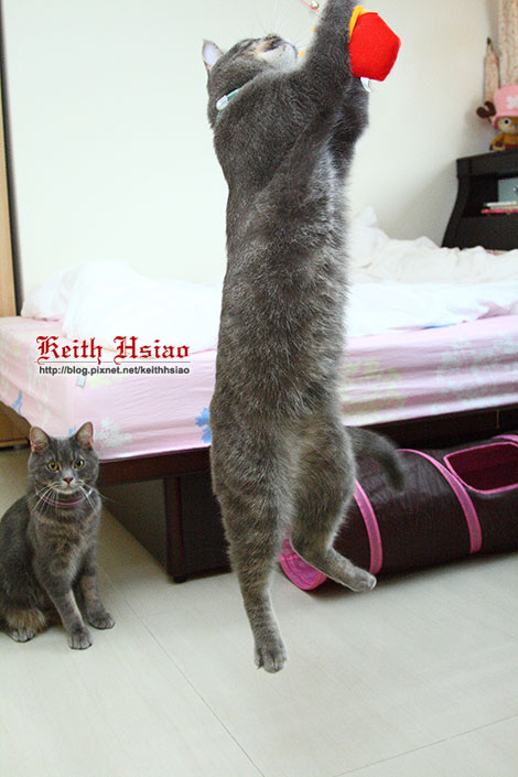 IMG_1562.jpg IMG_1562.jpg