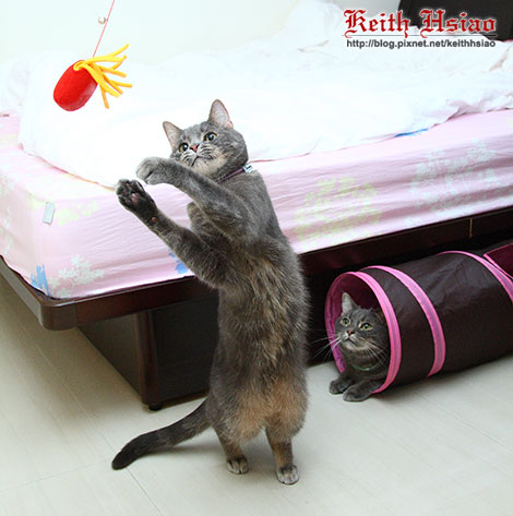 IMG_1565.jpg IMG_1565.jpg