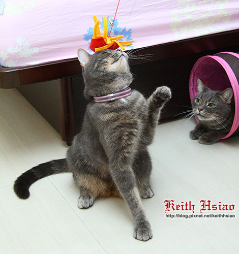 IMG_1567.jpg IMG_1567.jpg