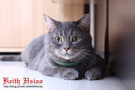 IMG_1601.jpg IMG_1601.jpg