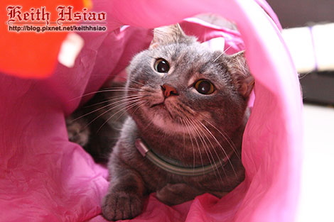 IMG_1604.jpg IMG_1604.jpg