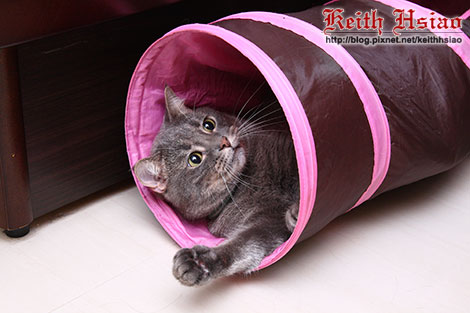 IMG_1618.jpg IMG_1618.jpg