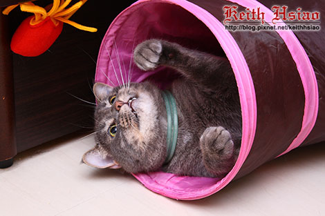 IMG_1620.jpg IMG_1620.jpg