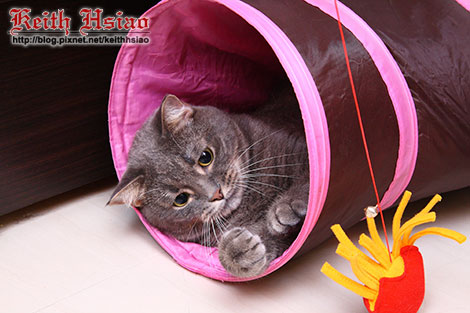 IMG_1621.jpg IMG_1621.jpg