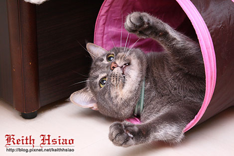 IMG_1622.jpg IMG_1622.jpg