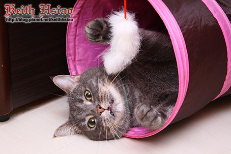 IMG_1623.jpg IMG_1623.jpg