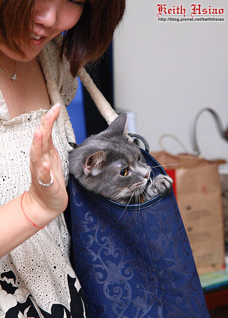 IMG_1625.jpg IMG_1625.jpg