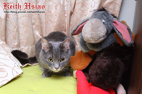 IMG_1647.jpg IMG_1647.jpg