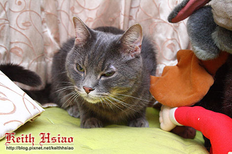 IMG_1649.jpg IMG_1649.jpg