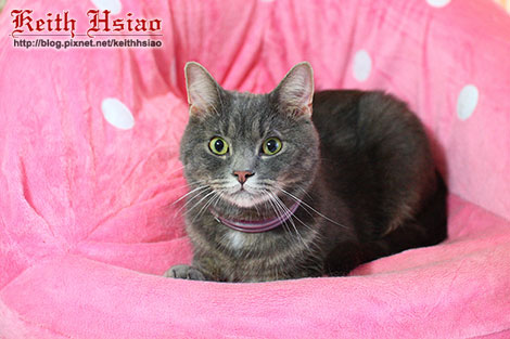 IMG_1666.jpg IMG_1666.jpg