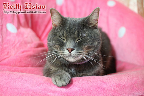 IMG_1680.jpg IMG_1680.jpg