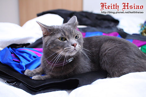 IMG_1692.jpg IMG_1692.jpg