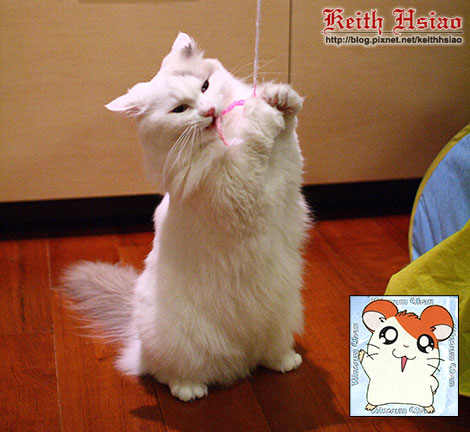 IMG_2576.jpg IMG_2576.jpg