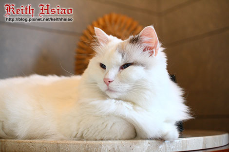 IMG_2184.jpg IMG_2184.jpg