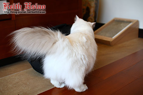 IMG_2191.jpg IMG_2191.jpg