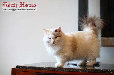 IMG_2193.jpg IMG_2193.jpg