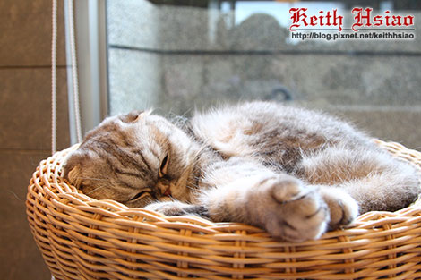 IMG_2222.jpg IMG_2222.jpg