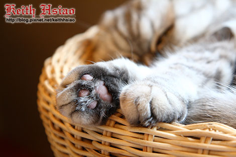 IMG_2225.jpg IMG_2225.jpg