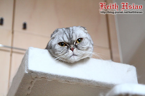 IMG_2229.jpg IMG_2229.jpg