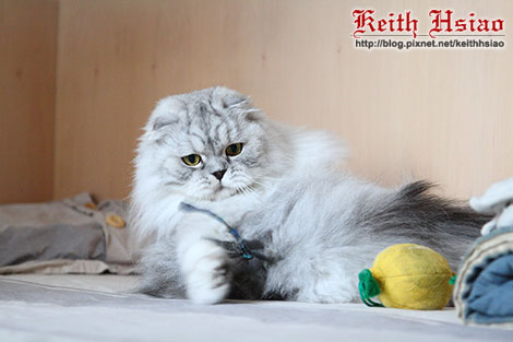 IMG_2246.jpg IMG_2246.jpg