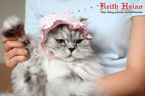 IMG_2265.jpg IMG_2265.jpg