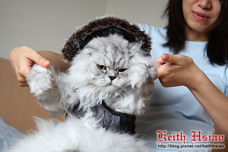 IMG_2274.jpg IMG_2274.jpg