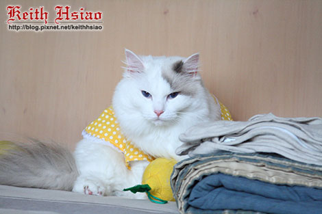 IMG_2287.jpg IMG_2287.jpg