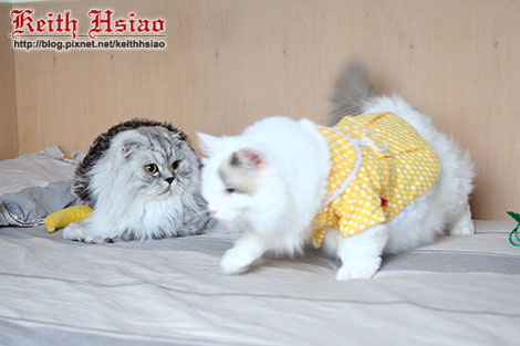 IMG_2293.jpg IMG_2293.jpg