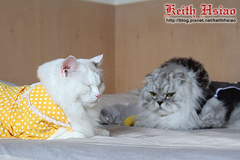 IMG_2301.jpg IMG_2301.jpg