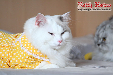 IMG_2306.jpg IMG_2306.jpg