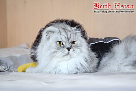 IMG_2307.jpg IMG_2307.jpg