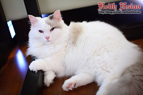 IMG_2332.jpg IMG_2332.jpg