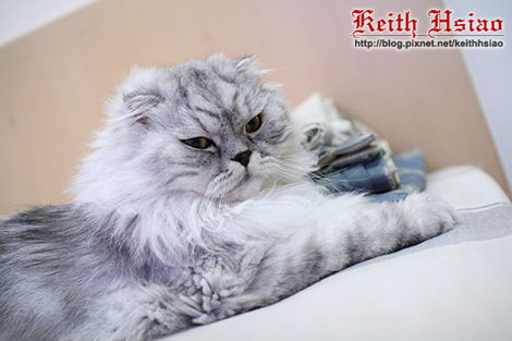 IMG_2388.jpg IMG_2388.jpg