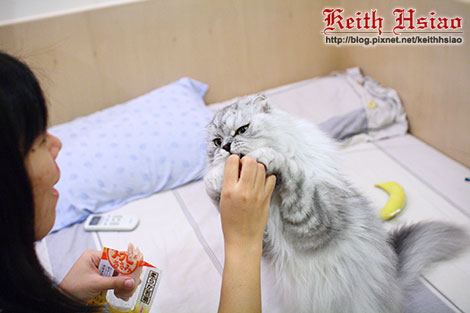 IMG_2437.jpg IMG_2437.jpg