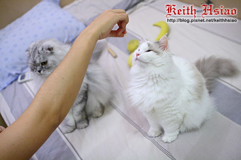 IMG_2449.jpg IMG_2449.jpg