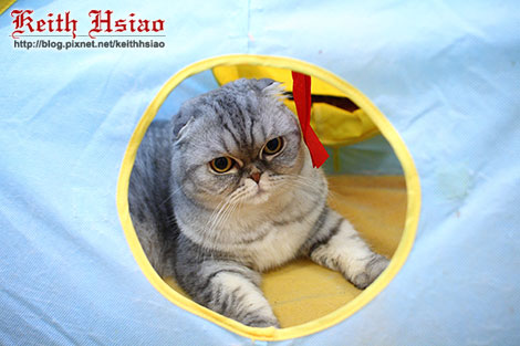 IMG_2472.jpg IMG_2472.jpg