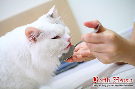 IMG_2478.jpg IMG_2478.jpg