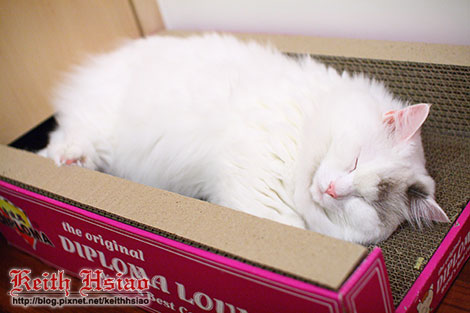 IMG_2517.jpg IMG_2517.jpg